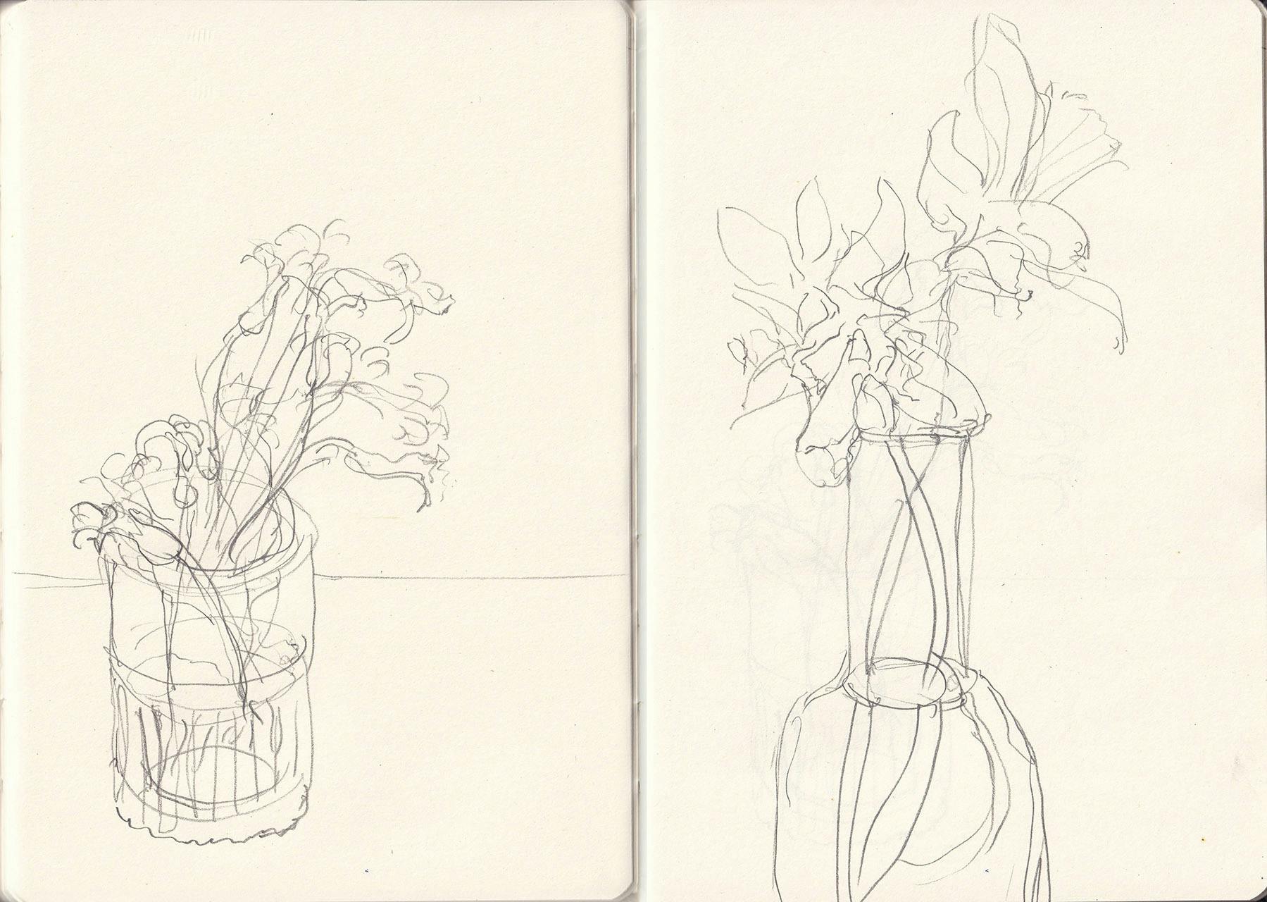 flower sketches