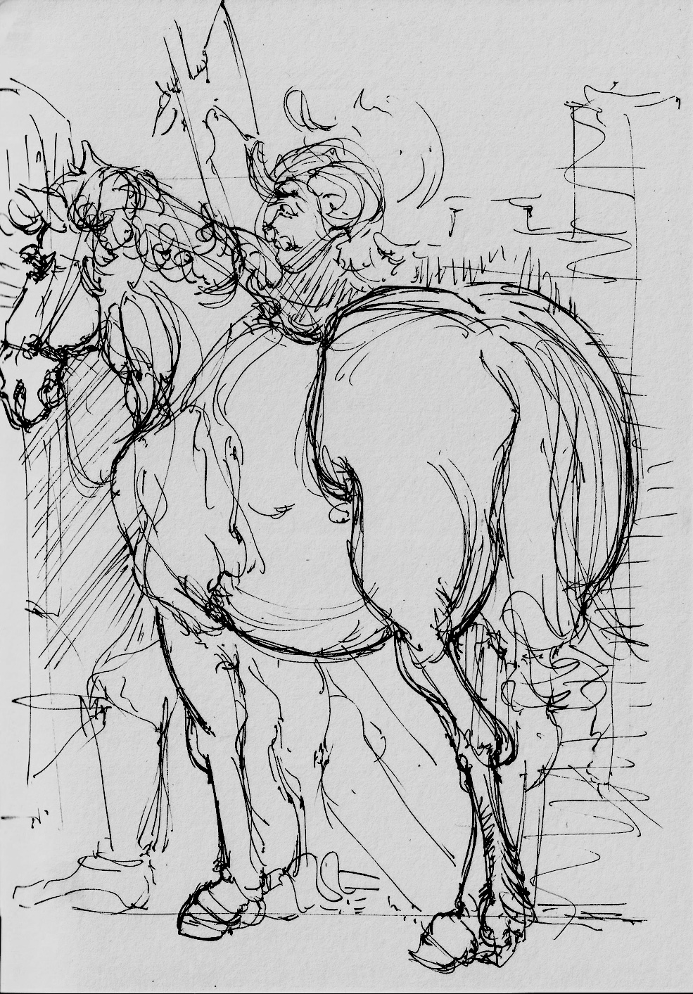 cursory durer sketch