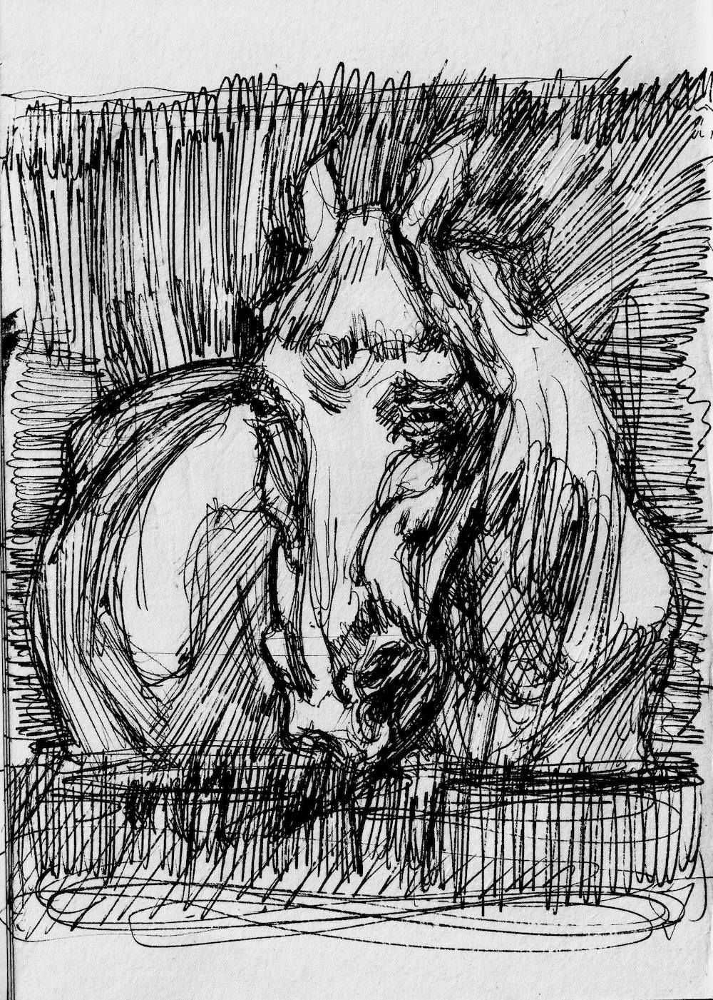 horse head