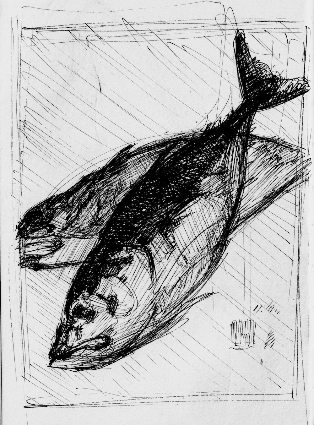 japanese fish