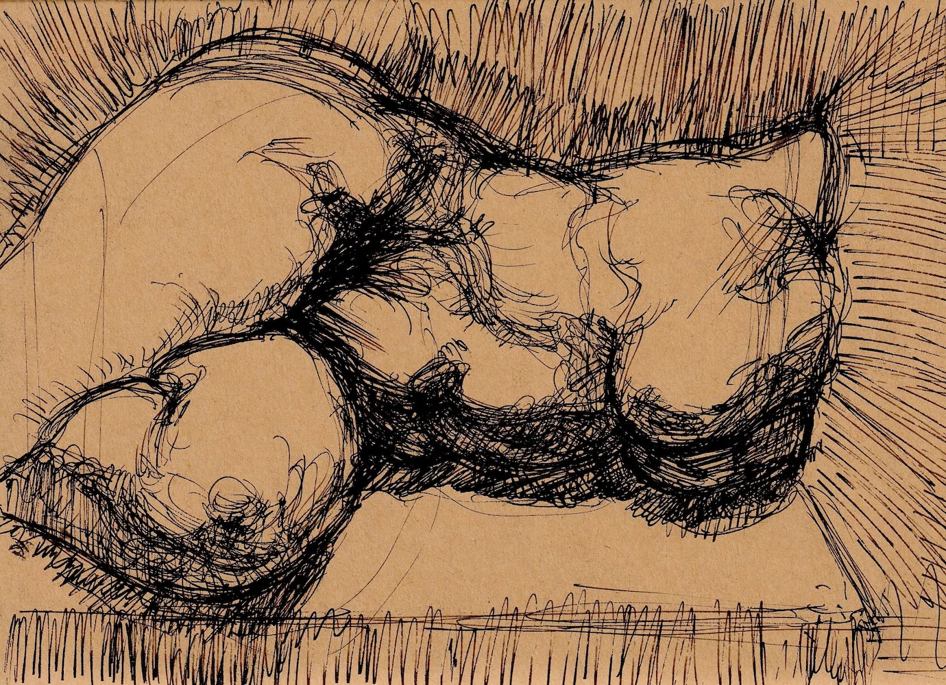 torso form