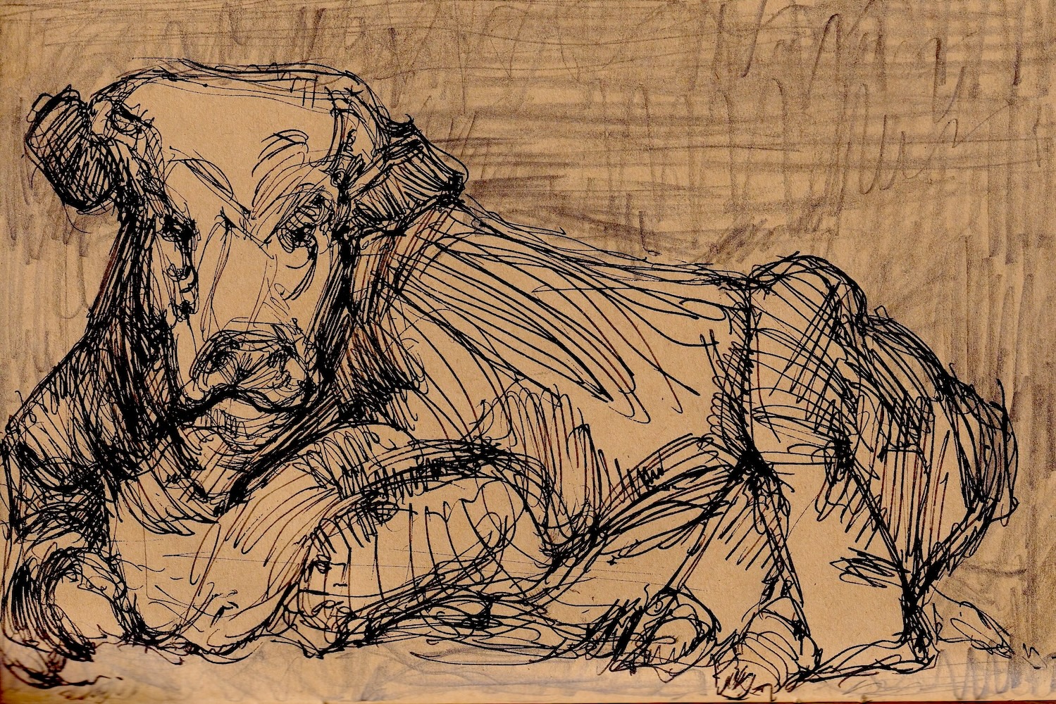van gogh cow
