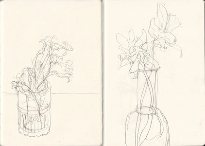 Artwork titled: 'flower sketches'