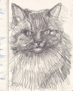 Artwork titled: 'cat sketch #2'