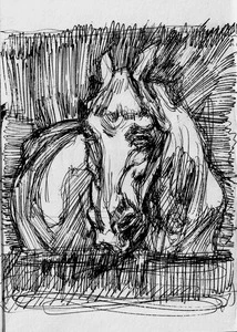 Artwork titled: 'horse head'