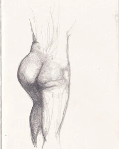 Artwork titled: 'posterior'