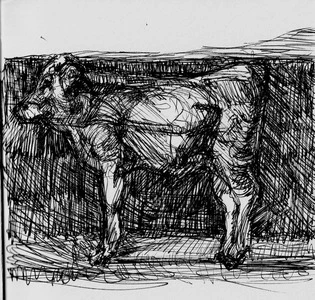 Artwork titled: 'wyeth cattle'